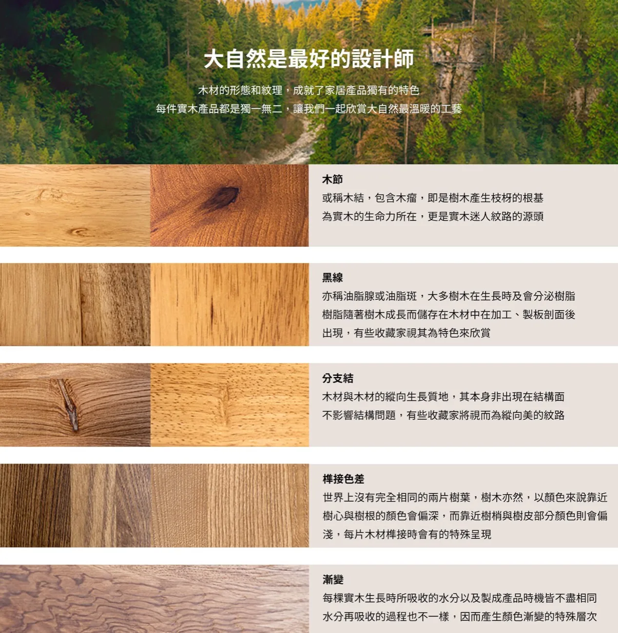 木紋判斷